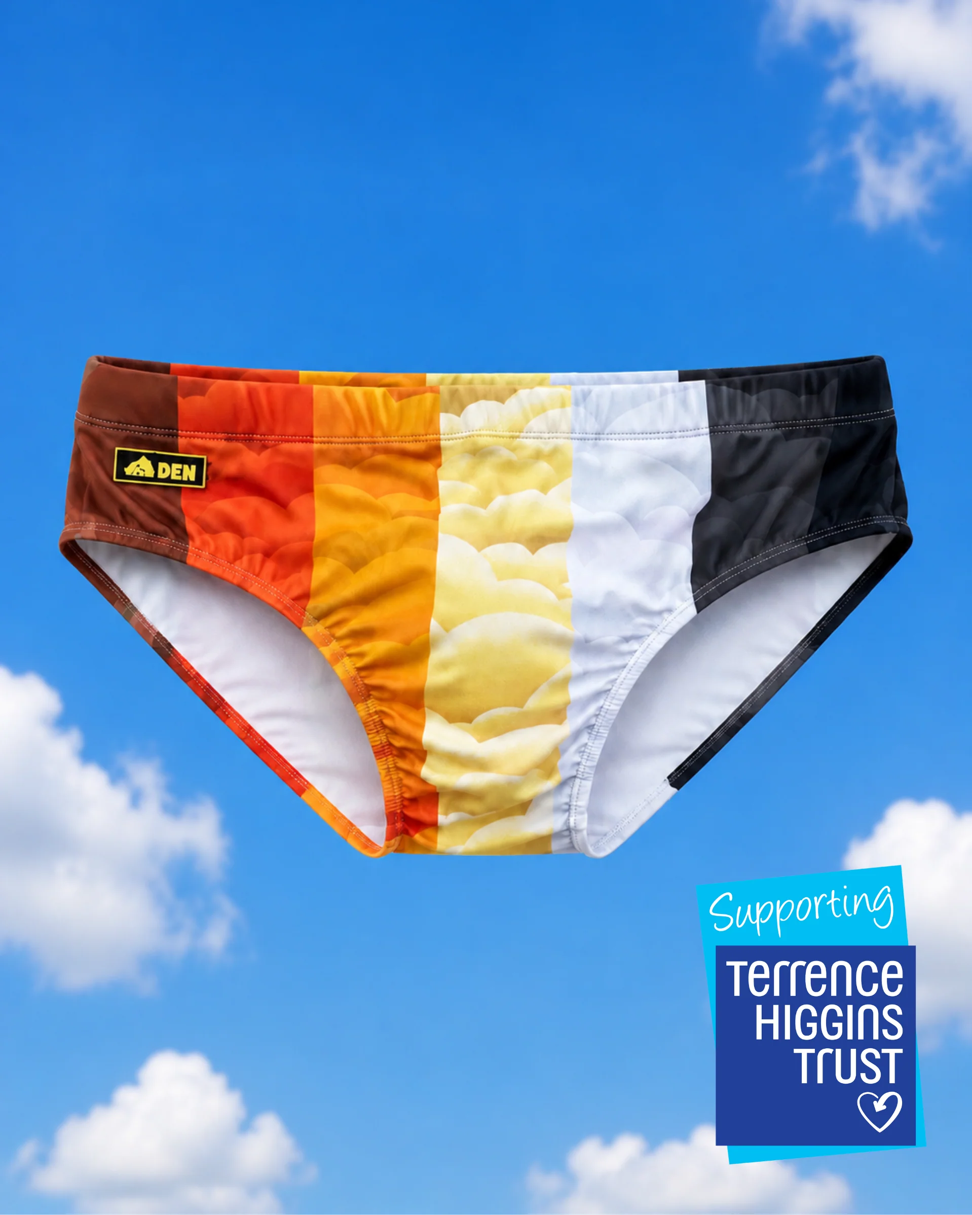 Bear Flag Swim Briefs in support of Terrence Higgins Trust - Regular Fit