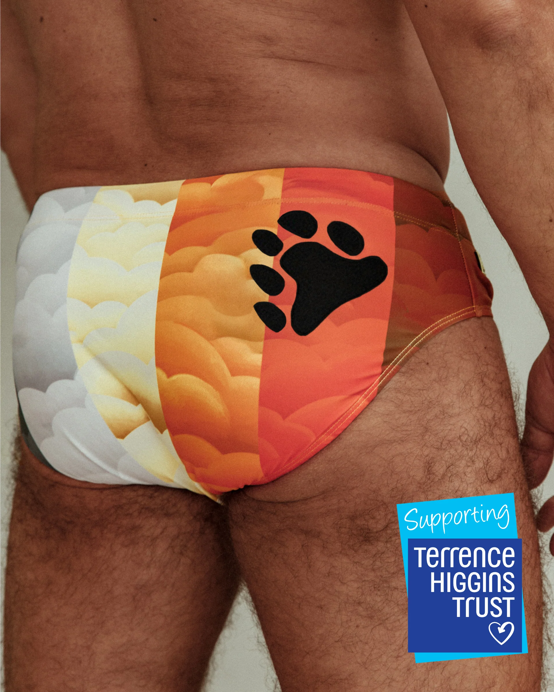 Bear Flag Swim Briefs in support of Terrence Higgins Trust - Regular Fit - Image 2